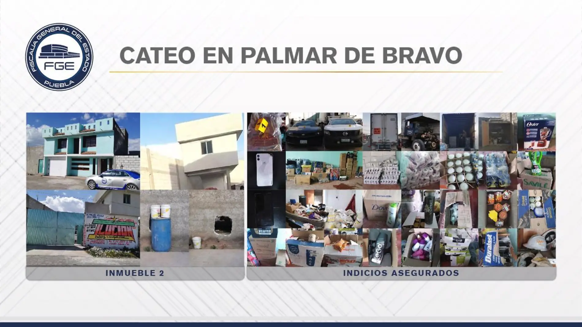 CATEO PALMAR DE BRAVO2